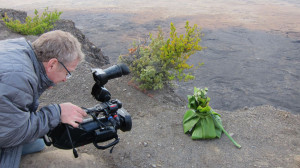 Bob Richman in Hawaii
