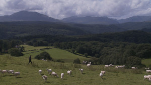 Welsh Countryside